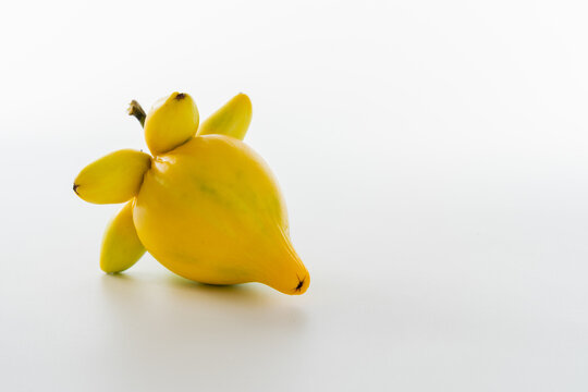 Fox face fruit lying on its side showing its rounded yellow body