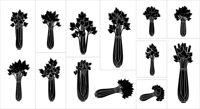 Bunches of celery in various poses
