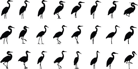 Obraz premium Stork and heron silhouettes in various poses including standing and walking on transparent backdrop.