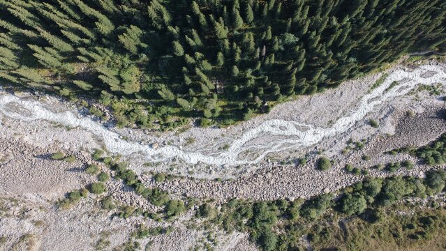 Aerial view of the winding river with rocky banks flowing through the dense pine forest of Ala Archa National Park in Bishkek, Chuy Region, Kyrgyzstan.