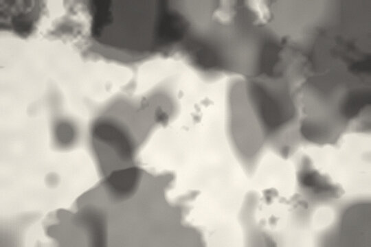 Minimalist ink wash background in sumi ink black