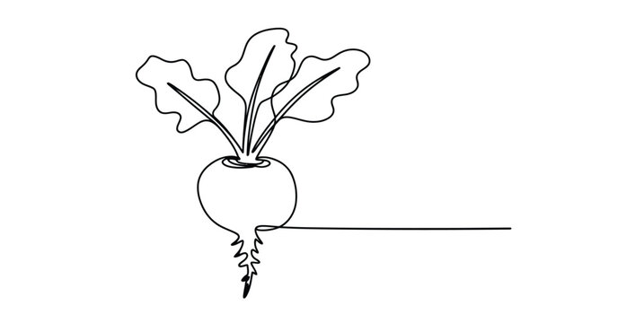 Continuous single line drawing of a fresh beetroot vegetable with green leaves in a simple minimalist style