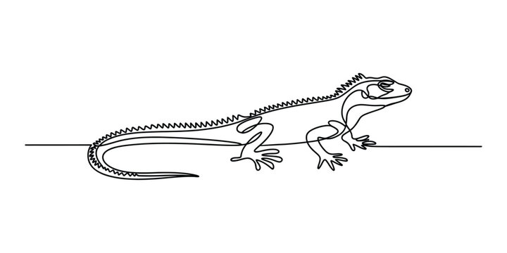 Continuous single line drawing of an iguana lizard standing still in a simple minimalist art style graphic