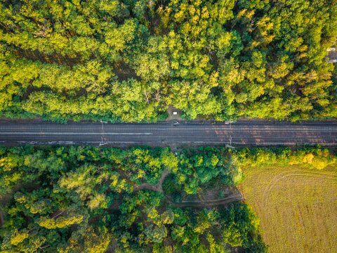 Aerial view of a double-track electrified railway cutting through a lush green forest with golden sunlight filtering through the trees and a nearby field, Czechia.