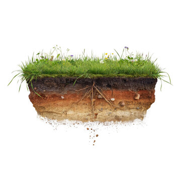 Cross section of earth with green grass and flower meadow, isolated on black