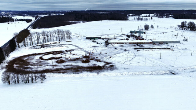 Aerial view of a rural farmstead in winter with snow-covered fields, livestock in a muddy paddock, and farm buildings under a cloudy sky in Latvija.