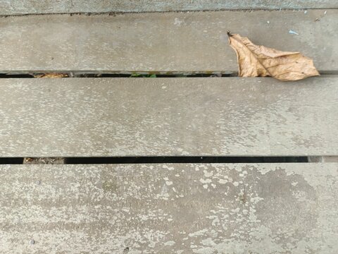 Weathered wooden plank floor texture with a dry autumn leaf background
