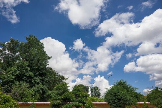 Blue Sky and White Clouds above Tropical Trees