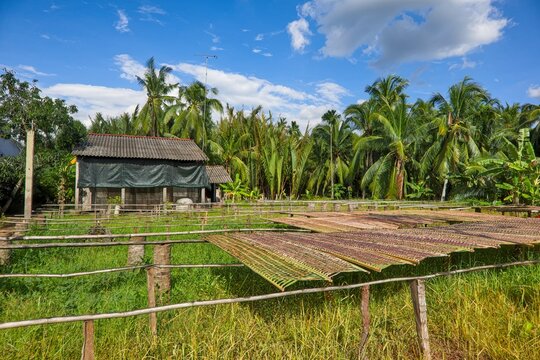 : Empty Rice Paper Drying Racks in a Rural Village in Vietnam