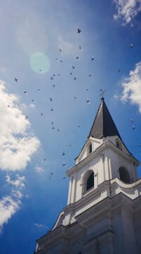 A serene church steeple with birds in a clear blue sky, perfect for mobile wallpaper.