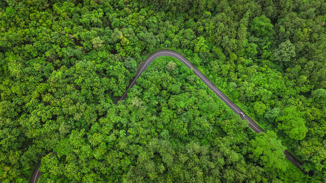Aerial view of a winding road cutting through a lush, dense green forest in India.