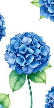 Watercolor blue hydrangea flower hand painted botanical illustration summer garden plant natural object isolated on white background, isolated, illustration