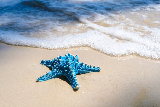 A vibrant blue starfish resting on a sandy beach with gentle ocean waves washing ashore, representing tropical vacations, marine life, summer, and nature eco system