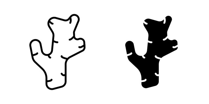 Ginger icon flat outline in black