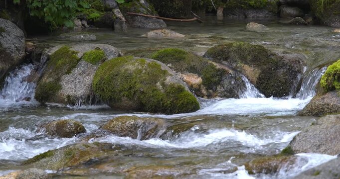 Summer landscape on a Dolomite stream.