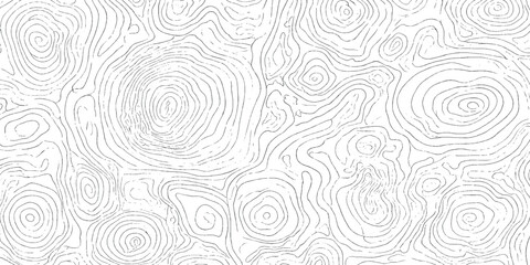 Abstract Topographic Map Contour Lines Texture Background (2) © Picture Paradise
