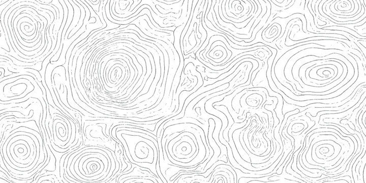 Abstract Topographic Map Contour Lines Texture Background (2)