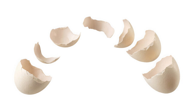 A series of broken beige eggshell fragments arranged in an arc, isolated on transparent background for culinary design and food photography projects