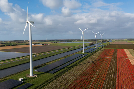 Aerial view of the Burgervlotbrug Wind Farm featuring wind turbines, rows of solar panels, and vibrant flower fields in Burgerbrug, North Holland, Netherlands.