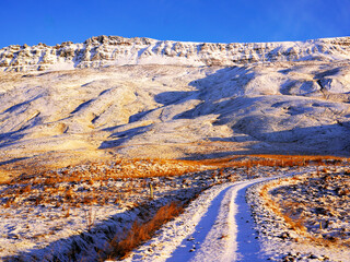 A snow-covered winding dirt track leads toward a rugged, sunlit mountain slope beneath a clear blue sky in Iceland © Gregory