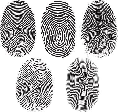 realistic fingerprint, human fingerprint design.