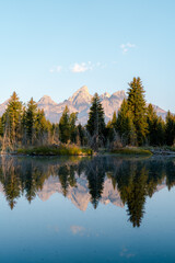 Fototapeta premium Schwabacher Landing Reflection of the Tetons and Spruce