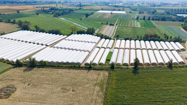 Aerial view of rows of white plastic greenhouses for vegetable cultivation in San Giuliano Milanese, Lombardy, Italy.