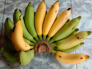 Fresh Hand of Bananas Riromen and Green   © yudi