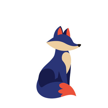 Stylized blue fox illustration