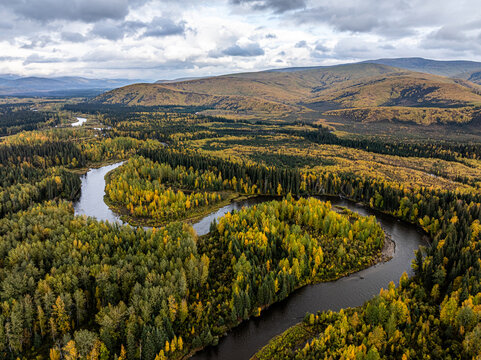 Aerial view of the winding Chena River flowing through a dense forest with autumn foliage under a cloudy sky in Chena, Alaska, United States.