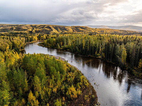 Aerial view of the Chena River winding through a dense forest with vibrant autumn foliage under a cloudy sky in Chena, Alaska, United States.