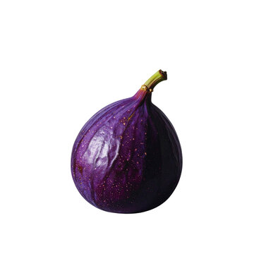 Fresh ripe purple fig isolated on white background for culinary and food photography