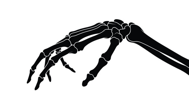 Detailed human hand skeleton vector illustration showing black bones isolated against white background