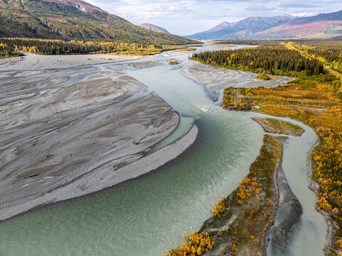 Aerial view of the Delta River with braided channels, gravel bars, and vibrant autumn foliage in the surrounding wilderness of Southeast Fairbanks, Alaska, United States.
