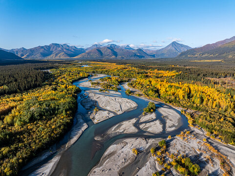 Aerial view of Tok River winding through a landscape of autumn-colored trees and gravel bars with mountains in the background in Southeast Fairbanks Census Area, Alaska, United States.