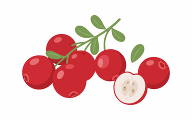 Obraz premium Fresh European Cranberries – Vibrant Red Healthy Berry Vector