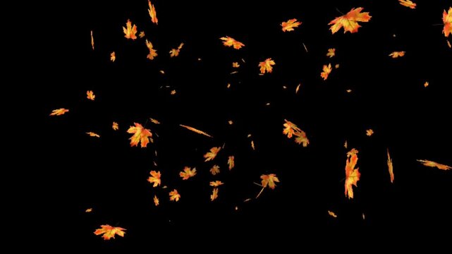 Animated Orange Glowing Sparkles Falling Particles on Black Background