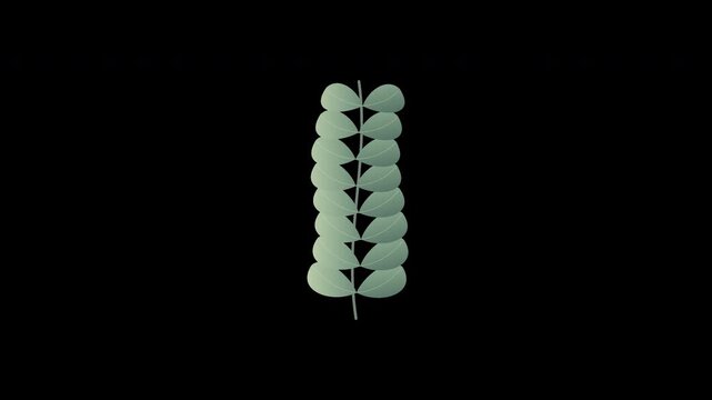 Stylized green plant leaf stem with paired round leaves reminiscent of a DNA double helix structure on black background