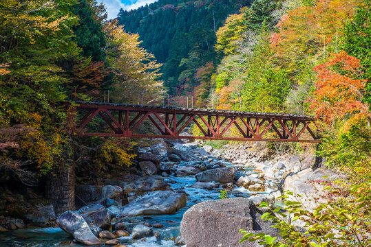 阿寺渓谷の秋の紅葉風景（長野県木曽郡大桑村野尻）