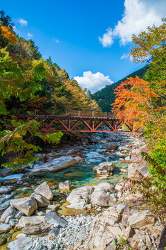 阿寺渓谷の秋の紅葉風景（長野県木曽郡大桑村野尻）