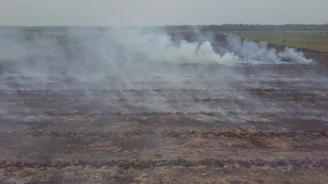 Aerial footage of a massive peat land forest fire causing severe haze disaster