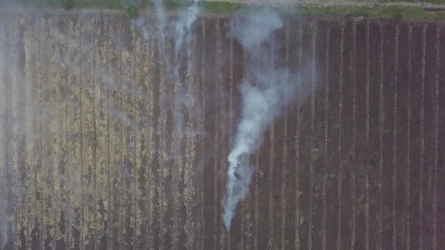 Aerial footage of a massive peat land forest fire causing severe haze disaster