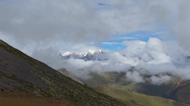 4K Aerial View of Rolling Cloud Sea Over Tibetan Snow Mountains and Grasslands