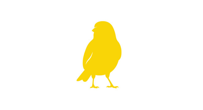 Yellow canary bird silhouette against a white background