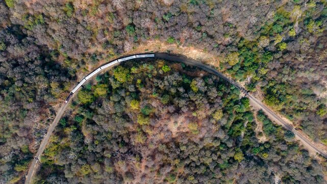 Aerial view of a train traveling along a curved track through a dense forest in Jodhpur, Rajasthan, India.