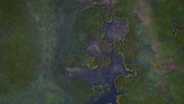 Aerial view of the lush green wetlands and dark waters of Song-Kul lake, showcasing the intricate patterns of the marshy landscape in Naryn Region, Kyrgyzstan.