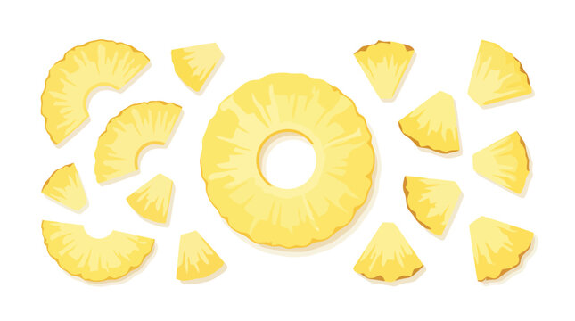 Fresh pineapple slices and chunks