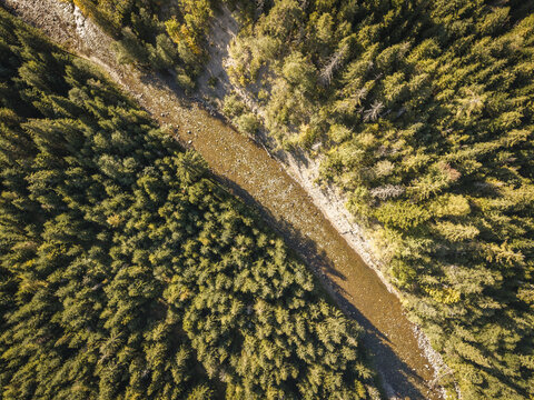 Aerial view of the Bialka River winding through a dense coniferous forest with rocky banks and sunlight filtering through the trees in Jurgow, Lesser Poland Voivode, Poland.