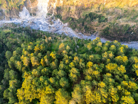 Aerial view of a lush green forest bordering a rocky riverbed during golden hour in Kemalang, Central Java, Indonesia.