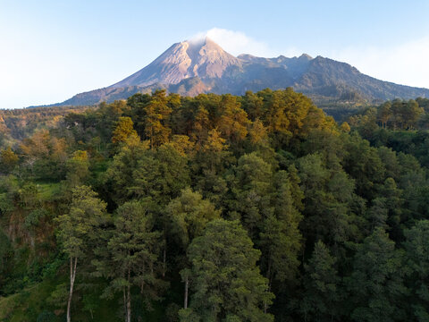 Aerial view of the majestic Mount Merapi volcano rising above a dense, lush green forest canopy under a clear sky in Kemalang, Central Java, Indonesia.